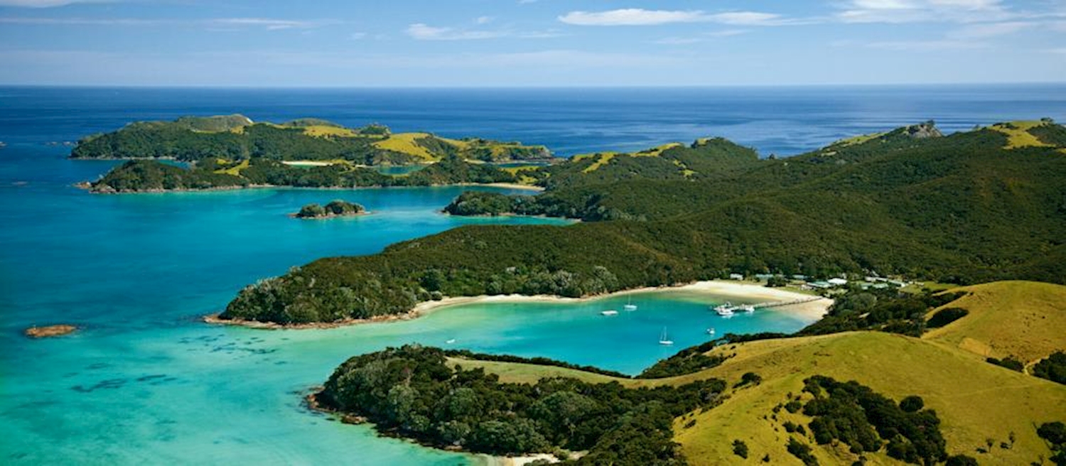 tours from auckland to bay of islands